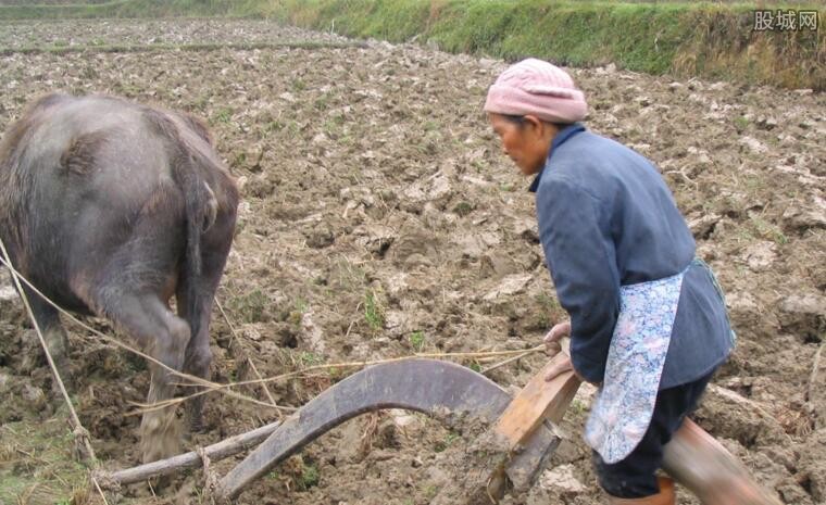 种地的人口_农民种地图片