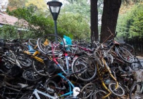 高校堆积僵尸单车 废弃自行车回收值钱吗？