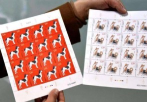 联合国发行狗年邮票 狗年邮票值得收藏吗
