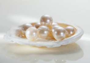剖海螺挖出珍珠 为稀世珍珠价值远超黄金