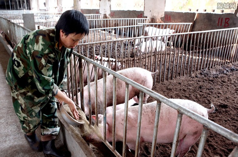 养猪补贴标准 2019年国家补贴养猪政策一览