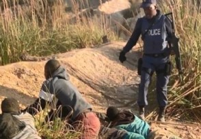 南非8名女子遭矿工轮奸65名嫌疑人被捕 事件真相太惊人